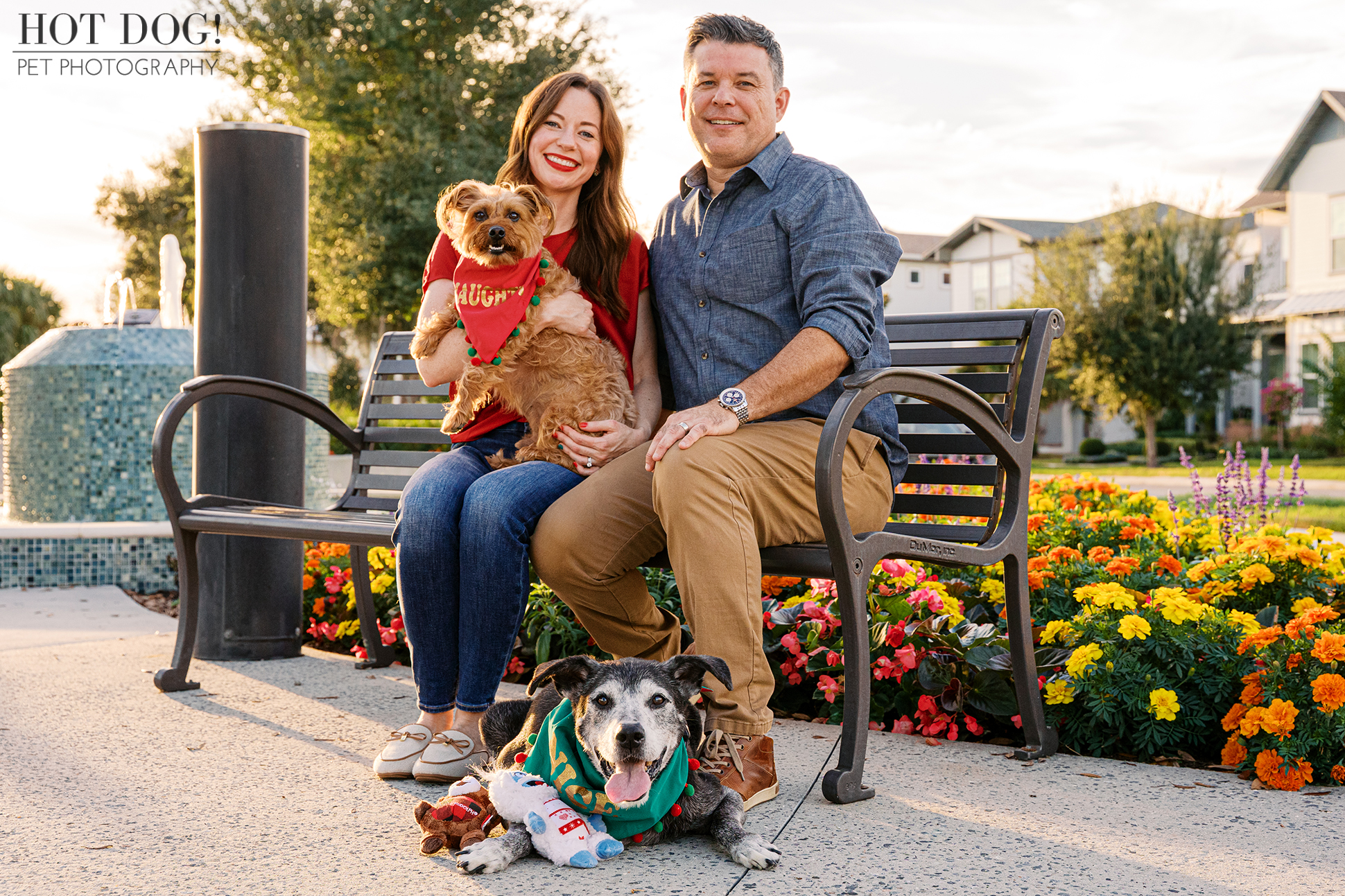Couple sitting on a park bench with their two dogs, a senior black and white lab mix and a small auburn terrier mix, surrounded by colorful flowers.