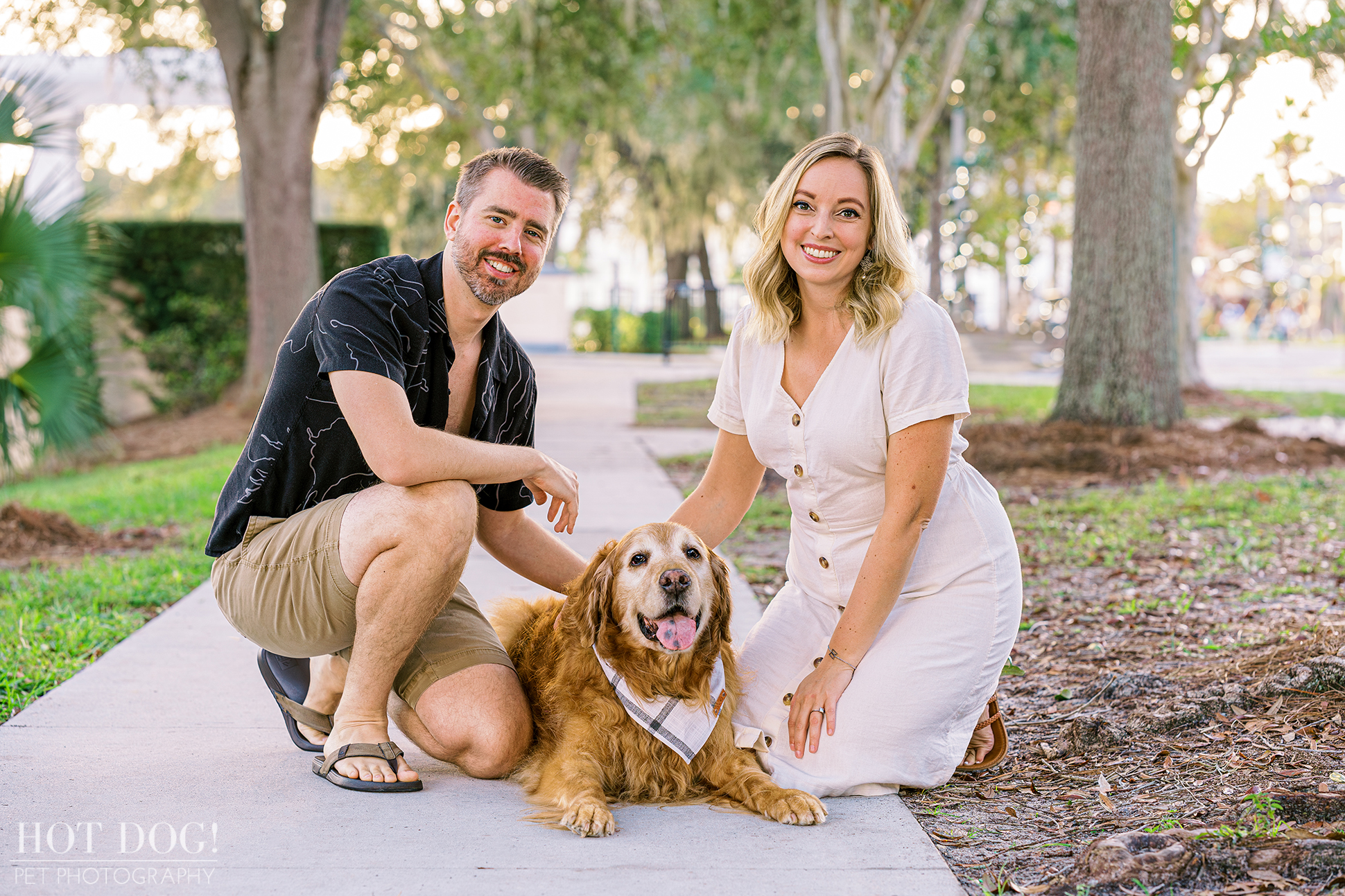 Orlando Pet Photography: Celebrate your furry family members with Hot Dog! Pet Photography, featuring senior golden retriever Osho's heartwarming adventure in Celebration, Florida.