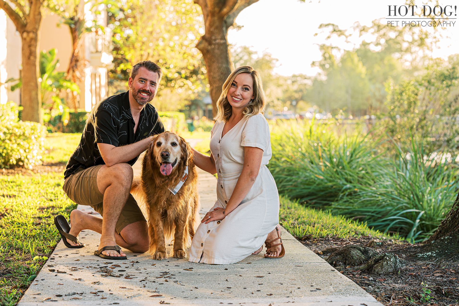 Thirteen Years of Love: Celebrate 13 years of cherished companionship with Osho, the senior golden retriever, and his devoted family in the idyllic town of Celebration, Florida. (Photo by Hot Dog! Pet Photography)