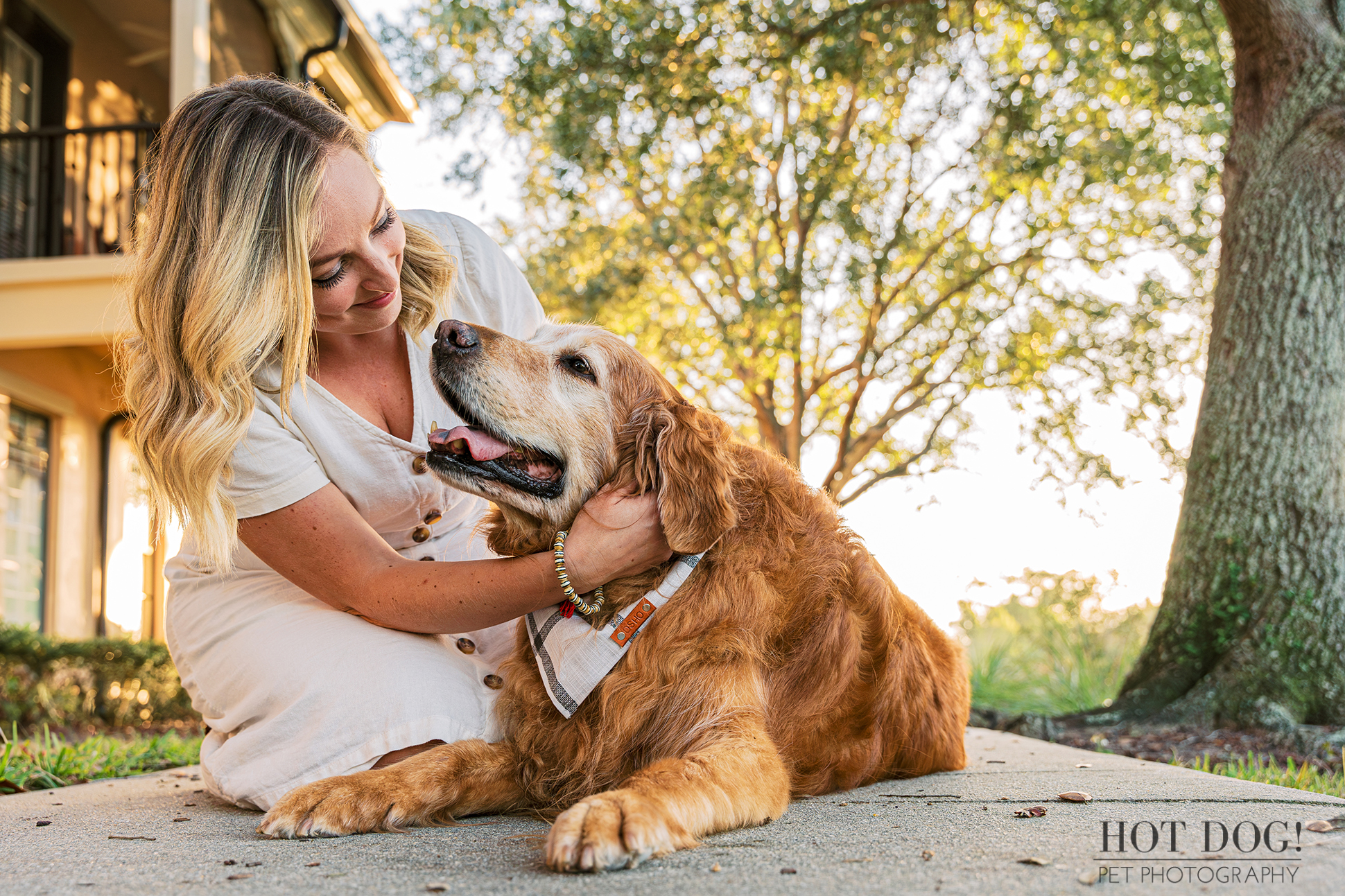 Memories in the Making: Hot Dog! Pet Photography captures the timeless bond between senior golden retriever Osho and his family in the picturesque town of Celebration, Florida.