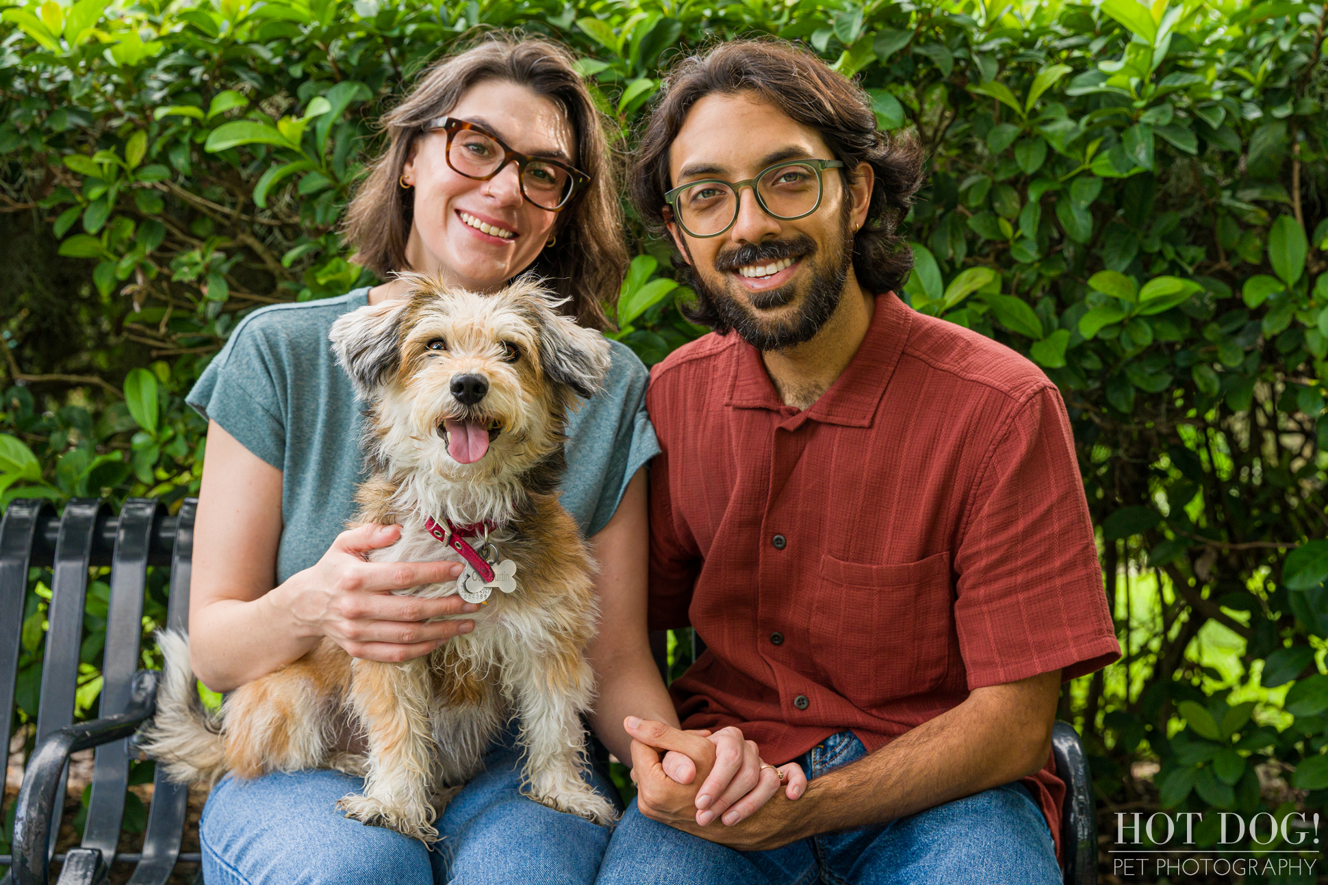 Hot Dog! Pet Photography captures the love and bond between Otto and his owners in this professional end of life pet photo session.