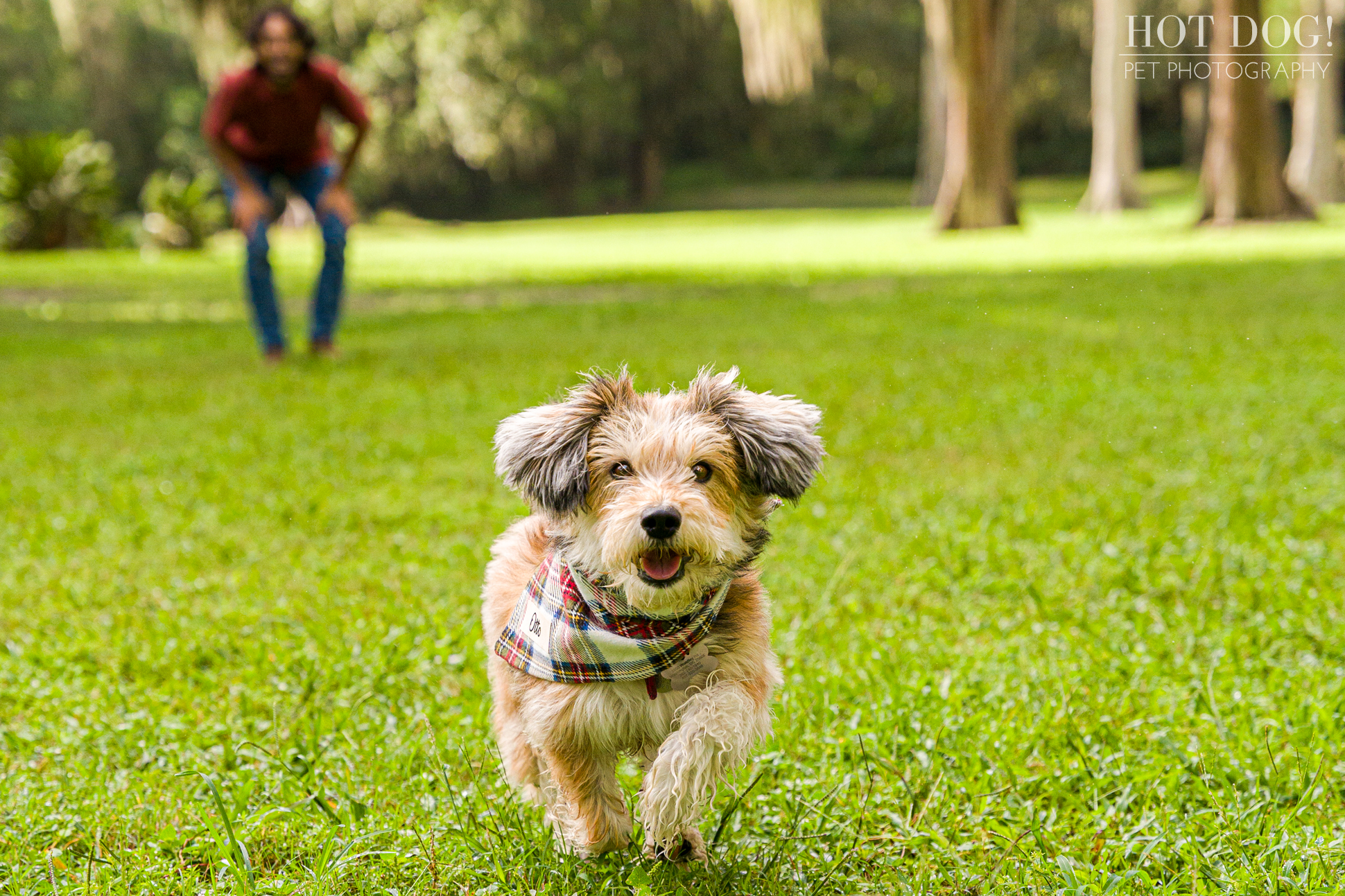 Capture the special moments with your furry friend at Hot Dog! Pet Photography, the best pet photography studio in Central Florida.