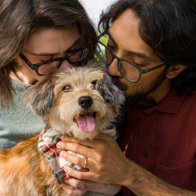 Otto’s Cherished Companion Session | Orlando Pet Photography