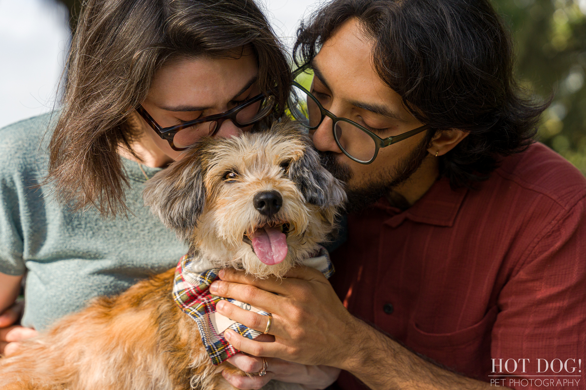 Looking for the best pet photography in greater Orlando? Look no further than Hot Dog! Pet Photography. We specialize in capturing the special moments between you and your furry friend.