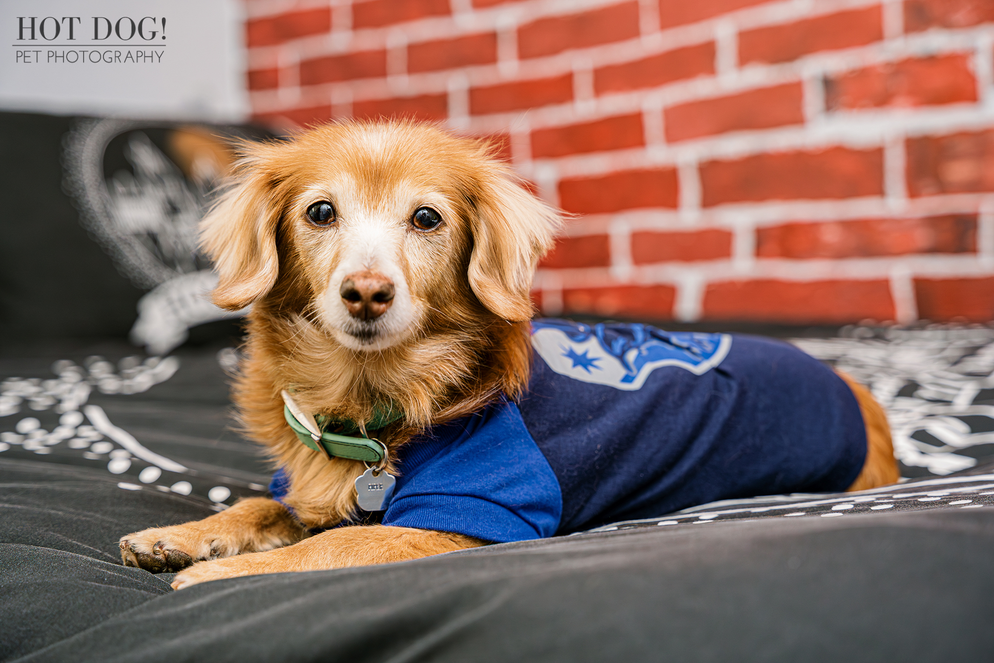 Piper sitting on a Harry Potter-themed bed.