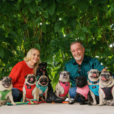 Couple sitting under a gazebo with eight pugs arranged in front of them, photographed during a family pet photography session with lush green foliage behind.