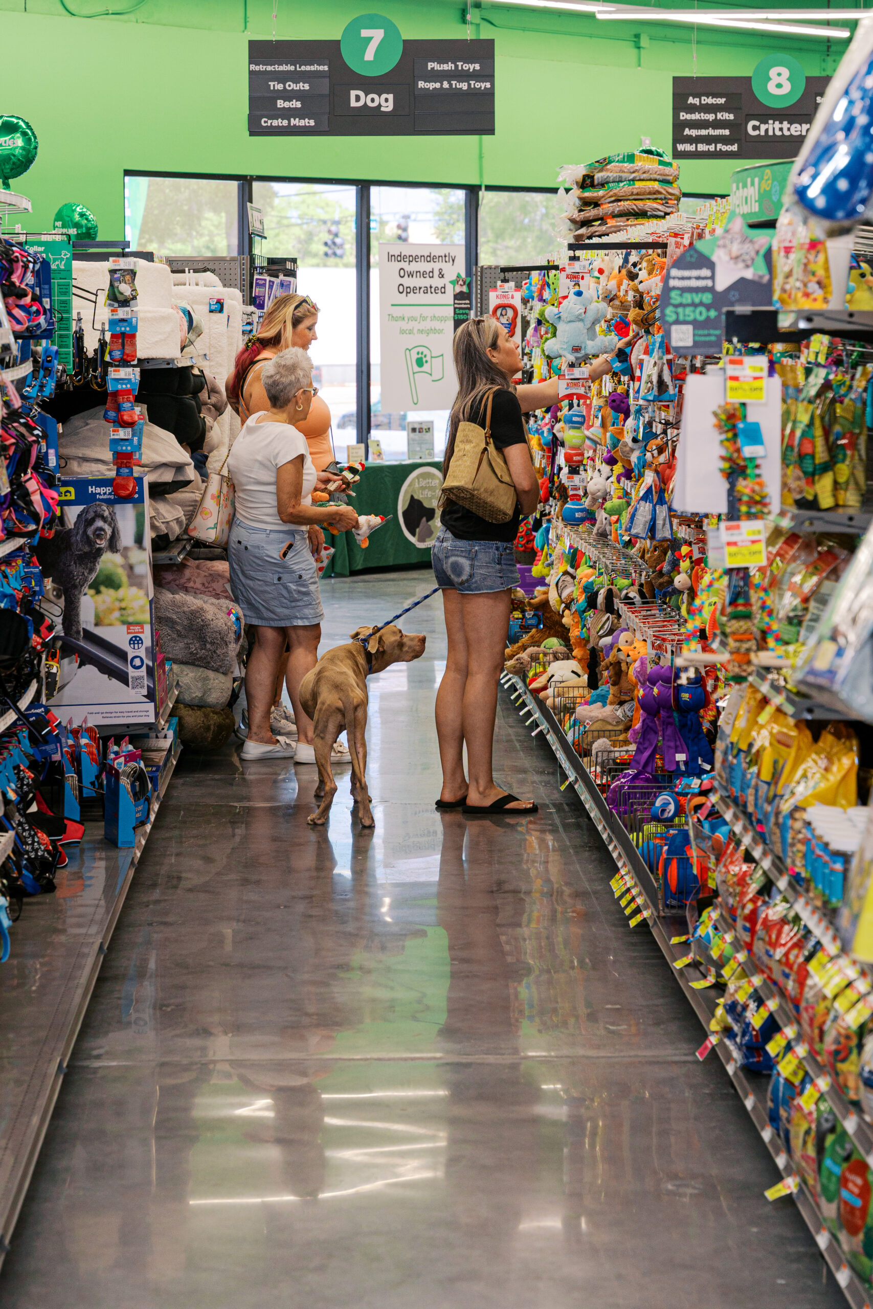Customers shopping in pet store aisle with dog browsing toys, showcasing retail layout and product selection.
