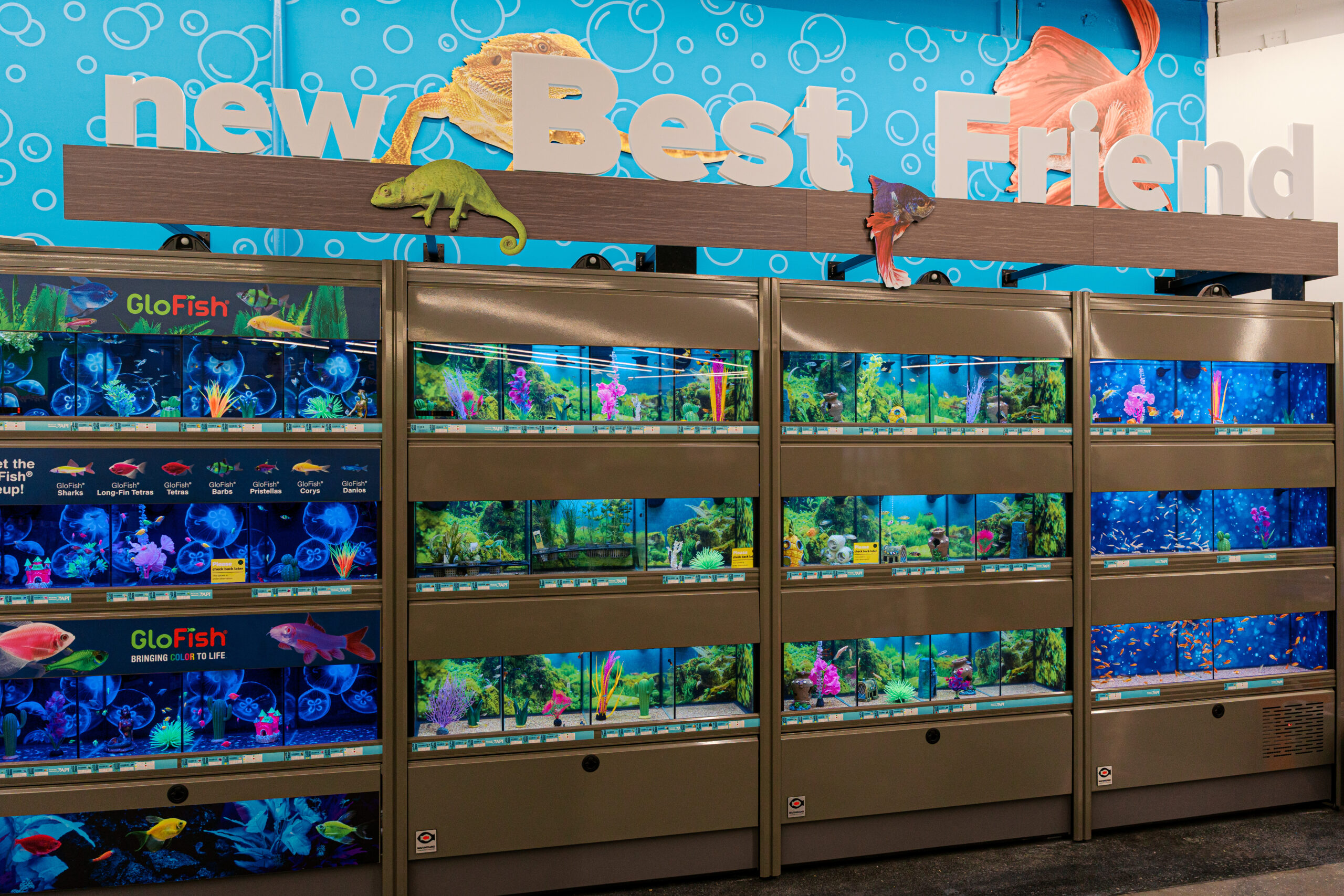 Aquarium fish tank display wall inside pet store, showcasing aquatics section and product variety.