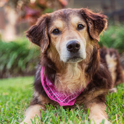 Rainey & Cambrie’s Person