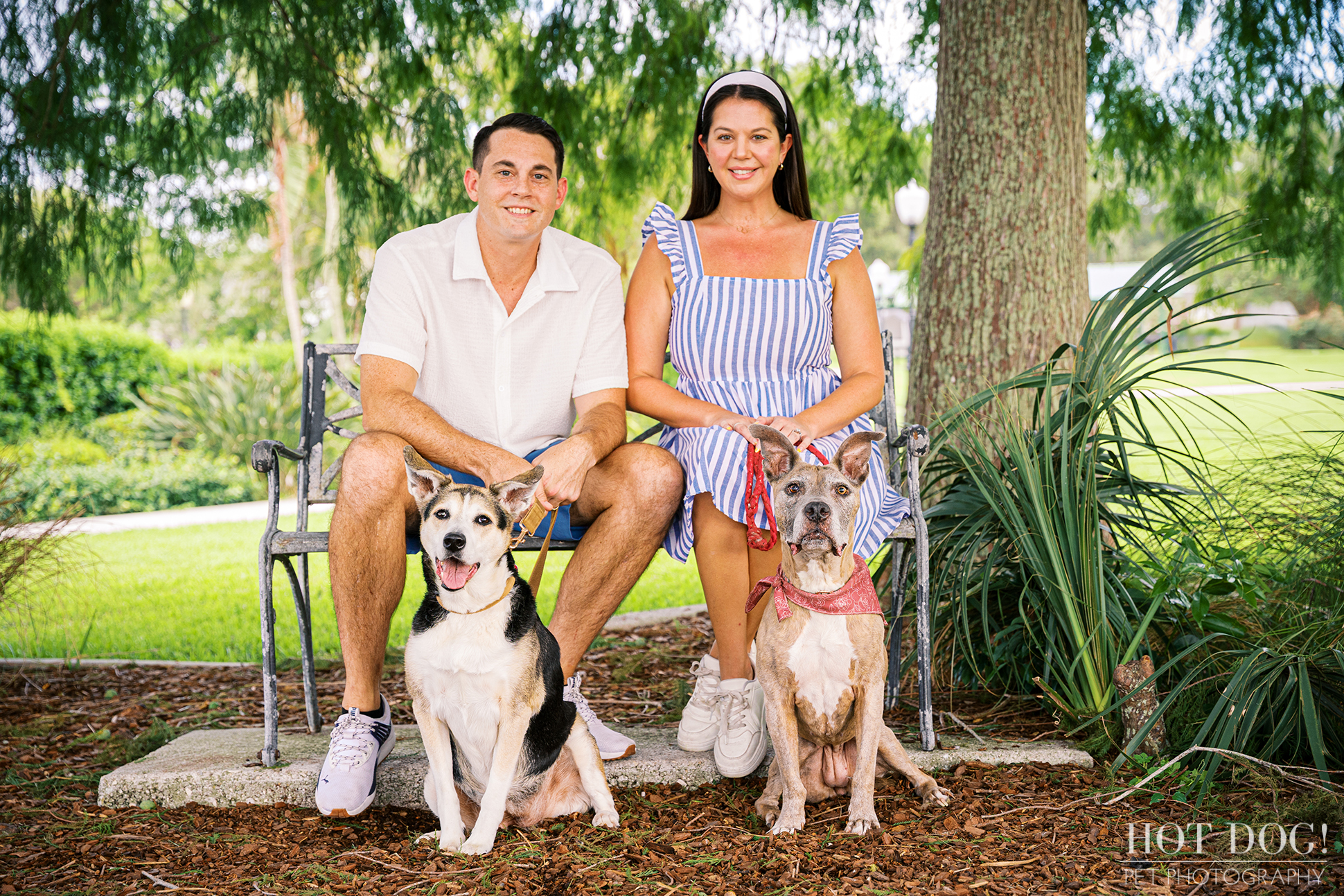 Tara and Brandon sitting on a bench with their two senior dogs at Newton Park.