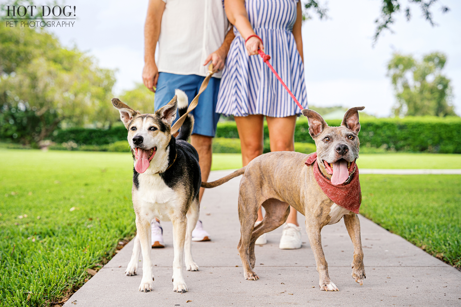 The whole family walking along the park path with Rosie and Emmy leading the way.