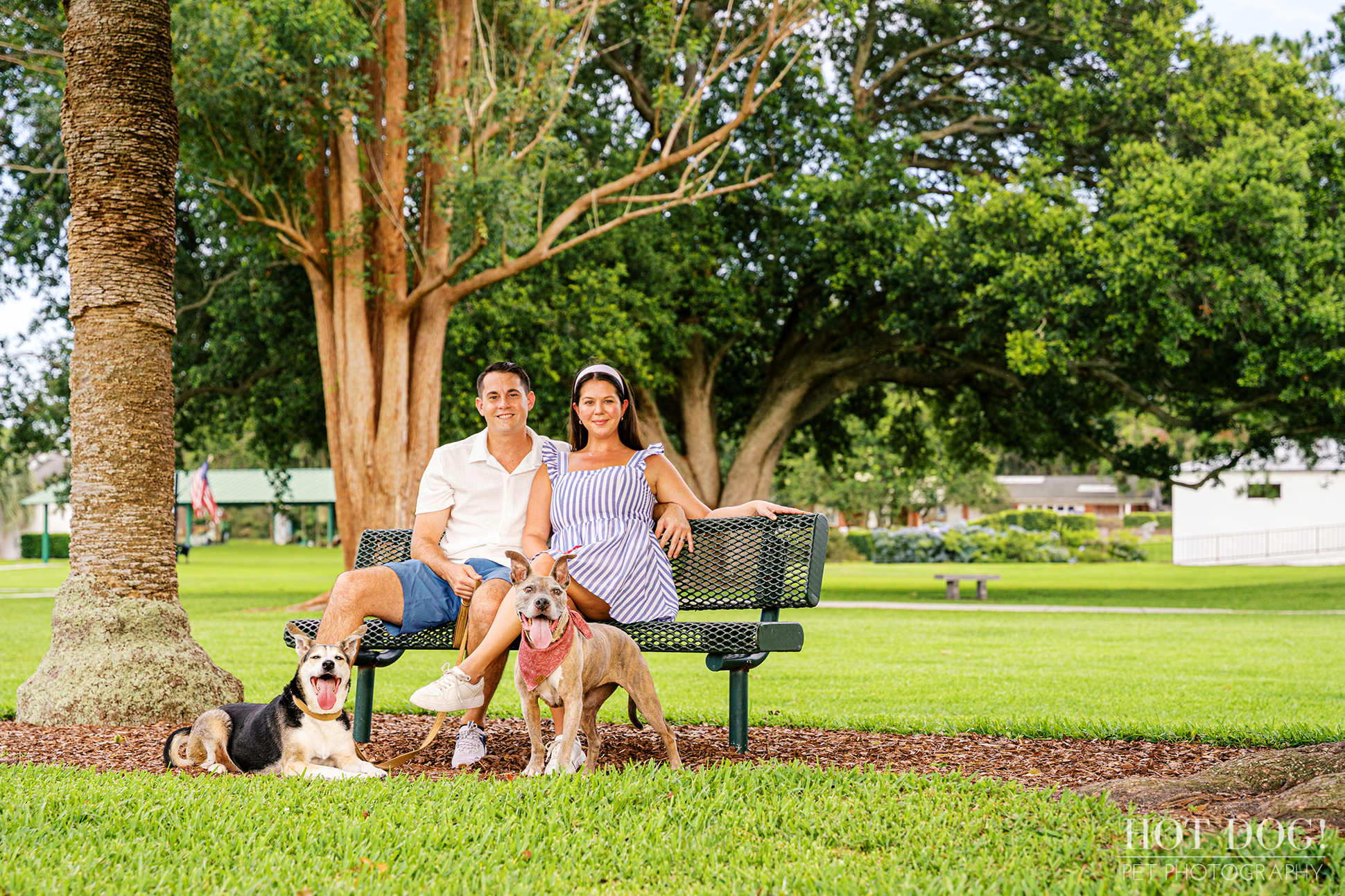 Tara and Brandon sitting on a bench with their two senior dogs at Newton Park.
