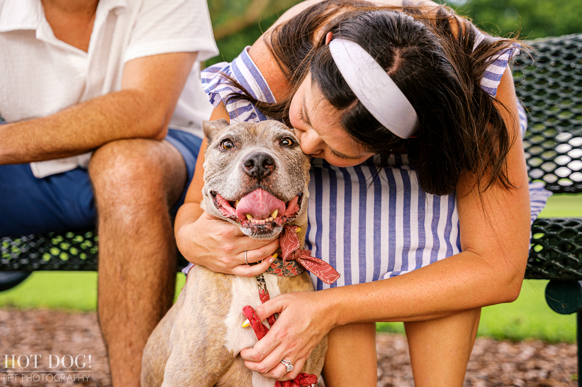 Rosie cuddled up with Tara, both glowing in the golden light.