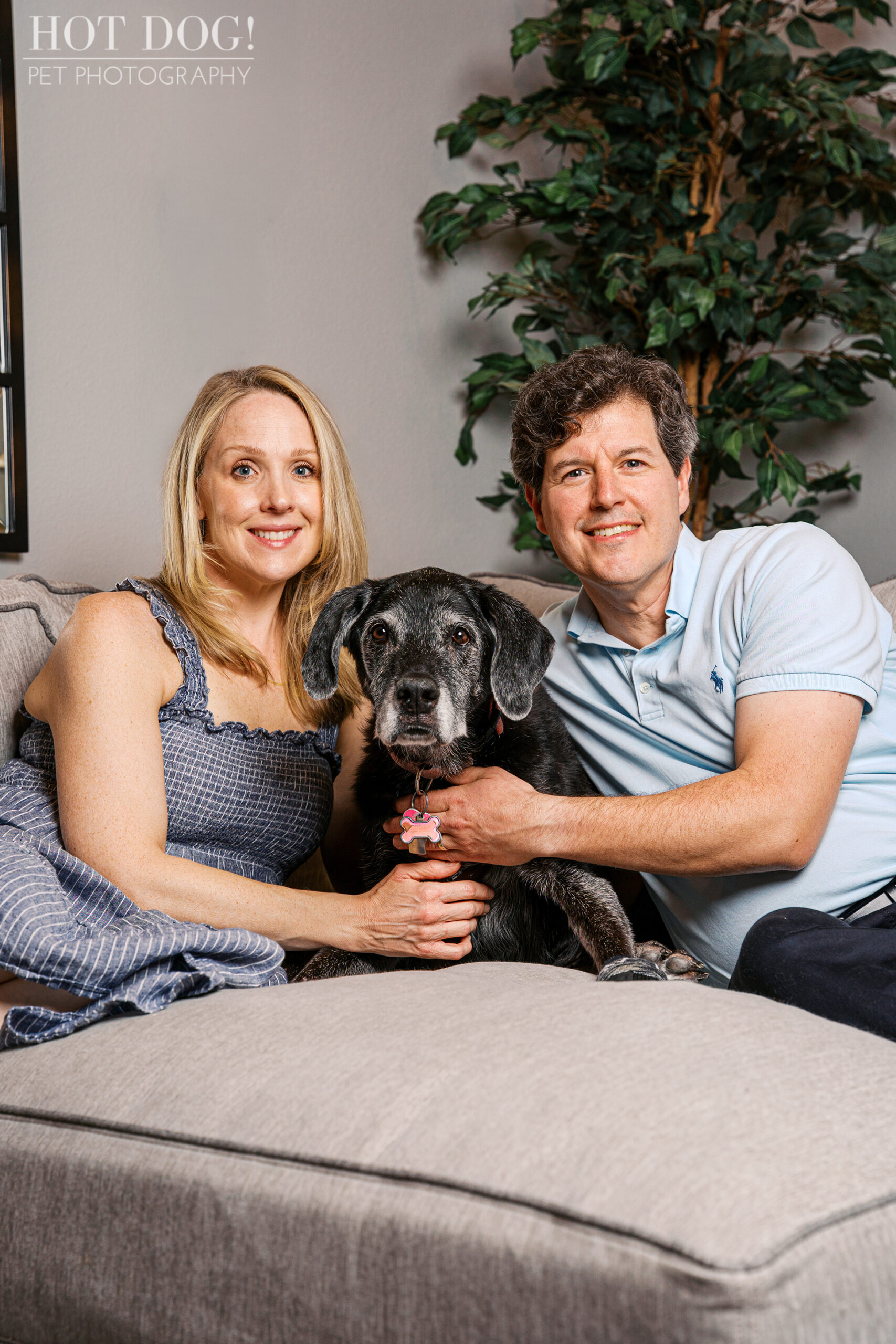 Lauren and Peter sitting on a couch with their senior black Great Dane mix Sadie during an in-home Lake Mary pet photography session.
