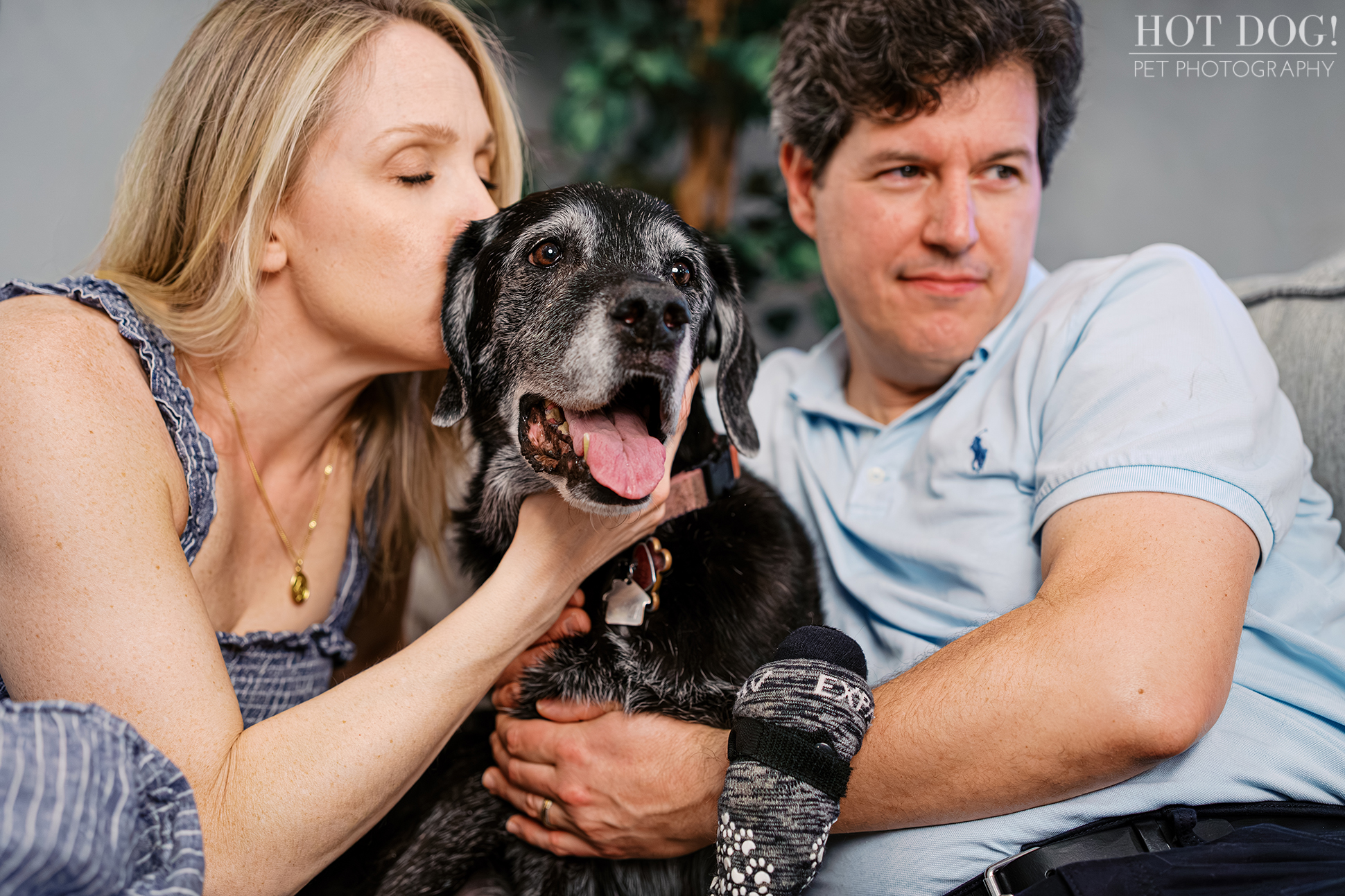 Lauren kissing Sadie on the head while Peter holds her, capturing a tender moment during a senior dog photography session.