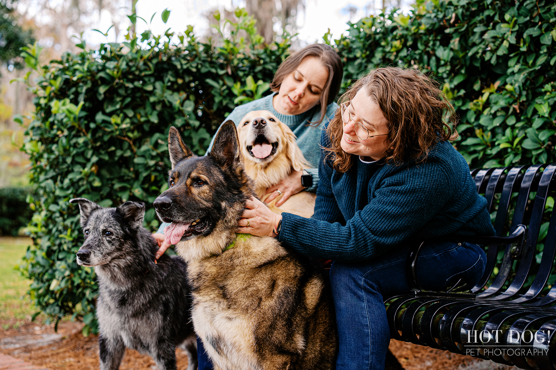 Lindsay and Aimee sitting on a park bench with Sadie, Appa, and Korra during their Orlando pet photography session.
