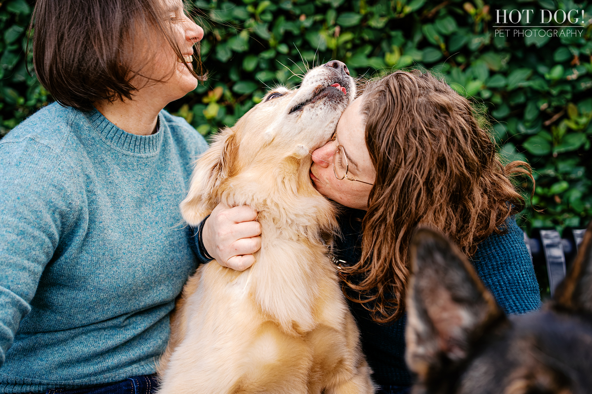 Korra the golden retriever giving Lindsay a kiss while Aimee smiles beside them at Cypress Grove Park.