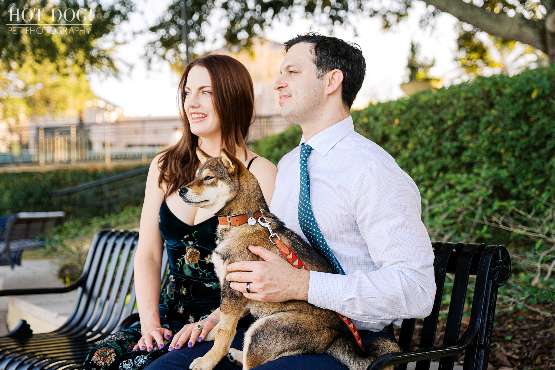 Couple sitting on a park bench with their sesame Shiba Inu puppy resting comfortably on a lap, photographed during an outdoor pet session.