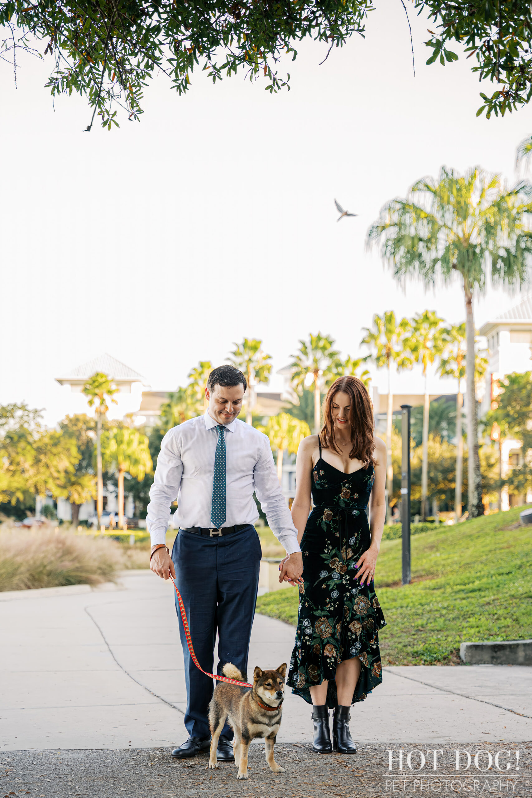 Couple walking hand in hand along a park path while their sesame Shiba Inu puppy walks slightly ahead on a leash during an outdoor photo session.