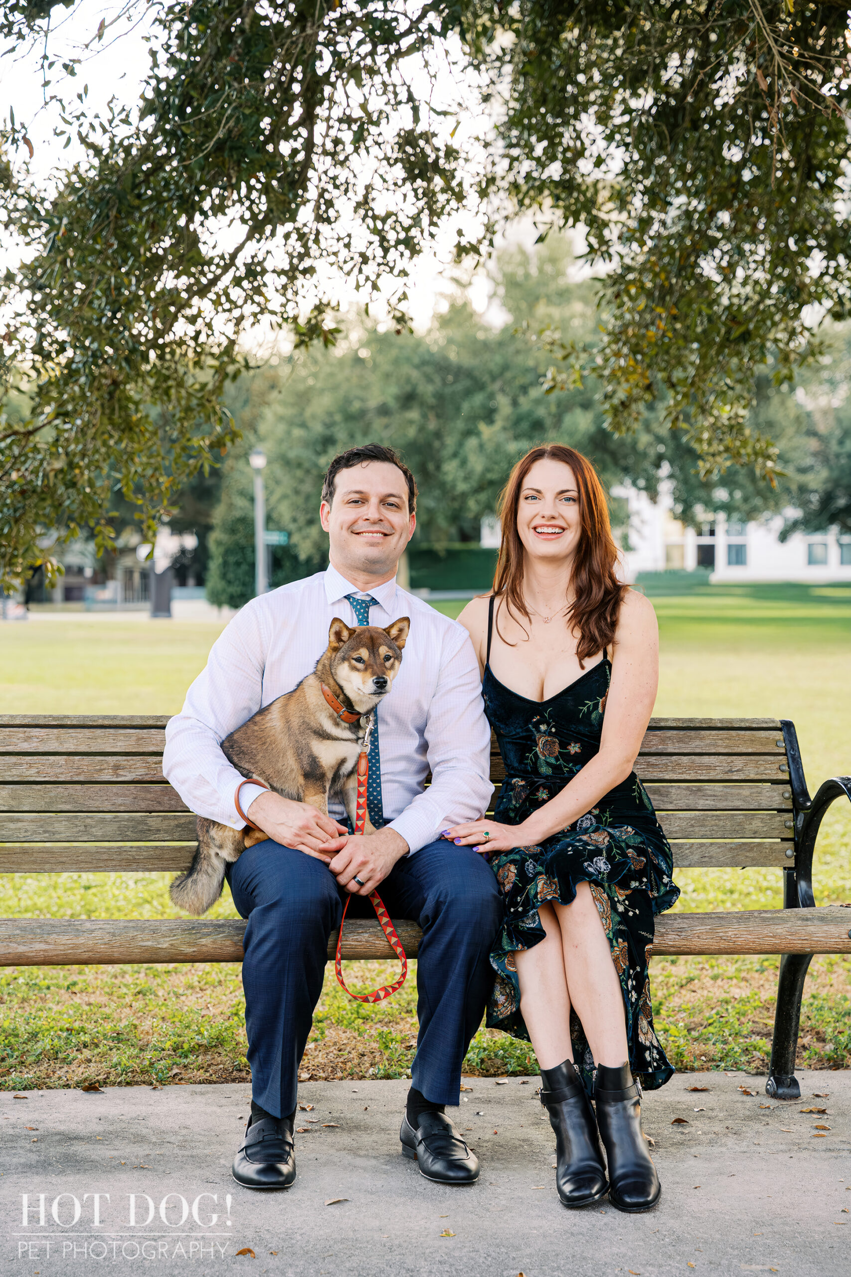 Couple sitting on a park bench with their sesame Shiba Inu puppy resting comfortably on one lap, surrounded by green lawn and trees.