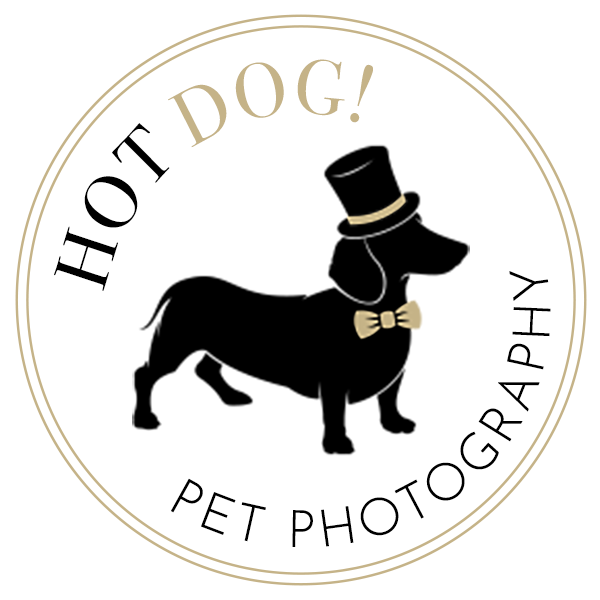 Hot Dog! Pet Photography