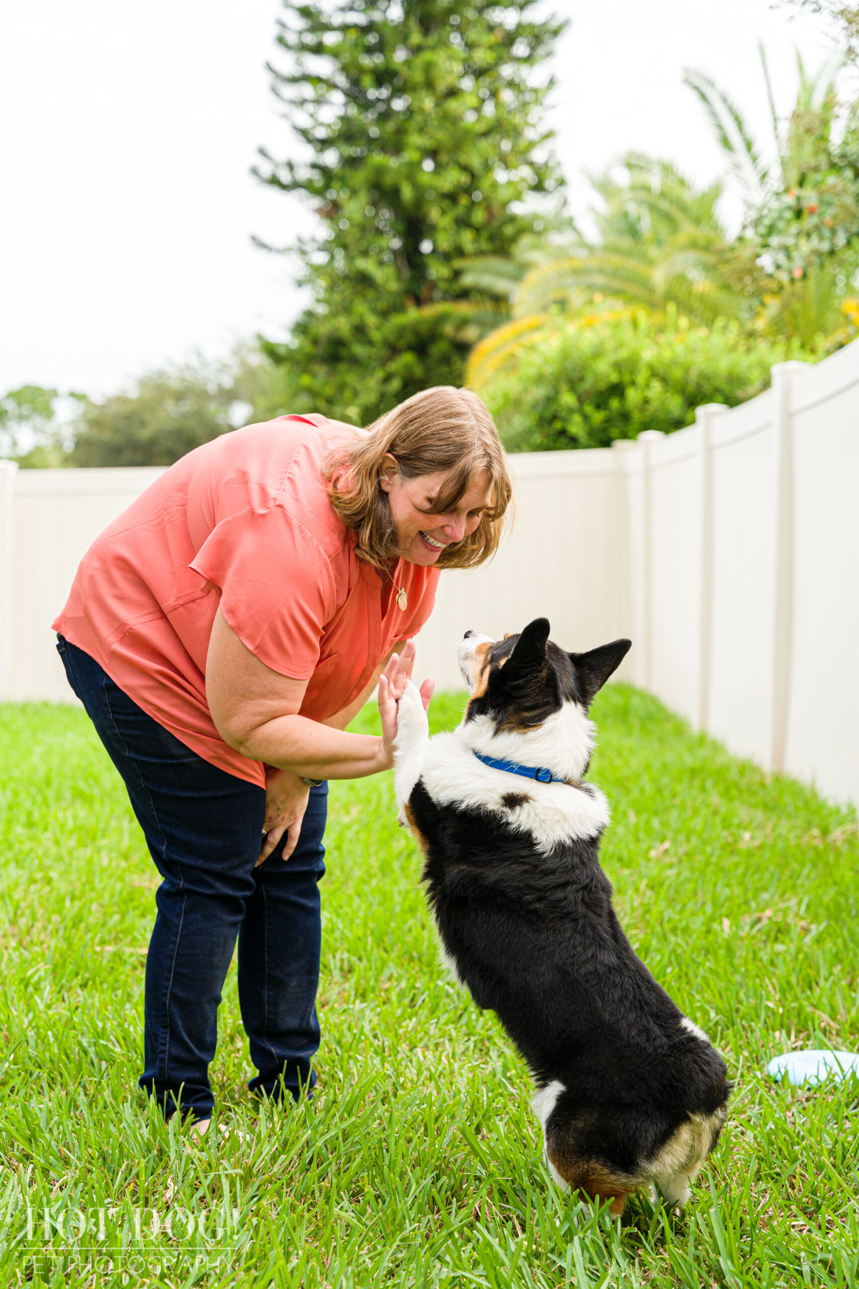 Looking for the best pet photography in greater Orlando? Look no further than Hot Dog! Pet Photography. We specialize in capturing the special moments between you and your furry friend.