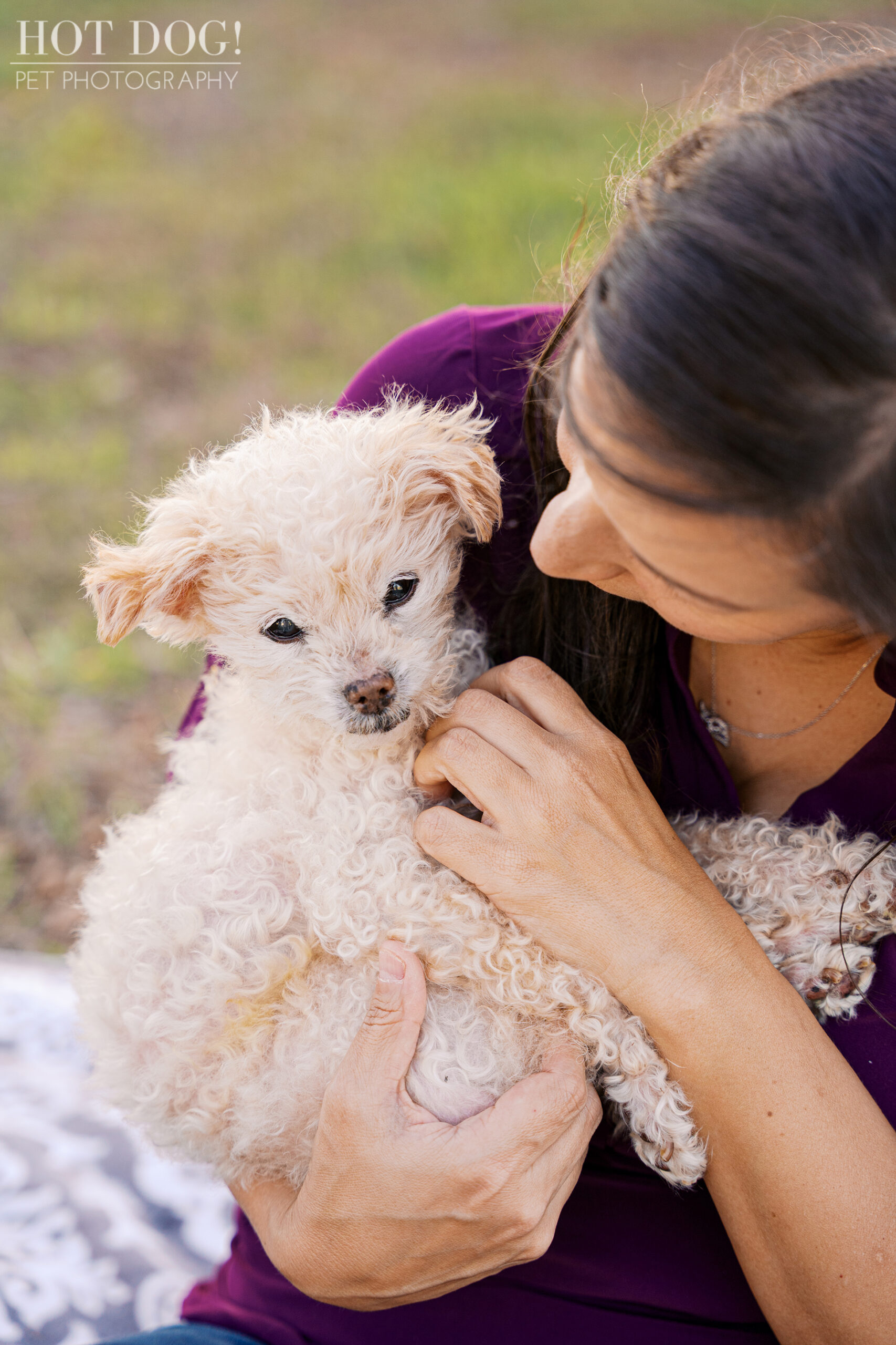 Close-up of woman cuddling her elderly Jack Russell Terrier during a gentle cherished companion photography session outdoors.