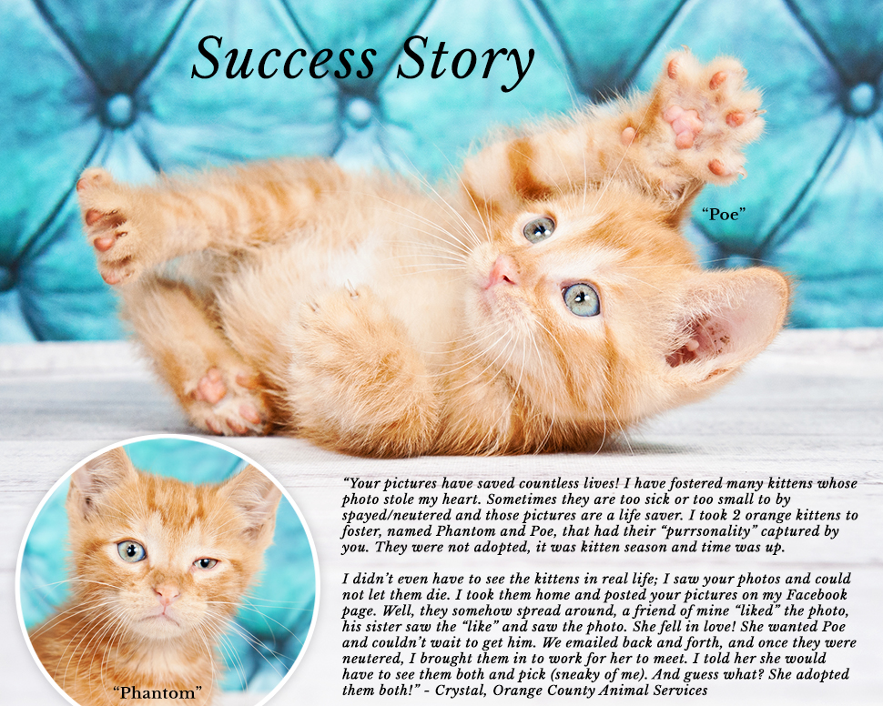 success-story