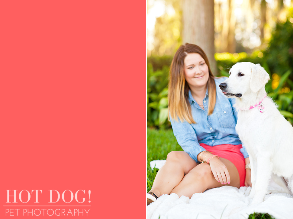 Sula | Orlando Pet Photography