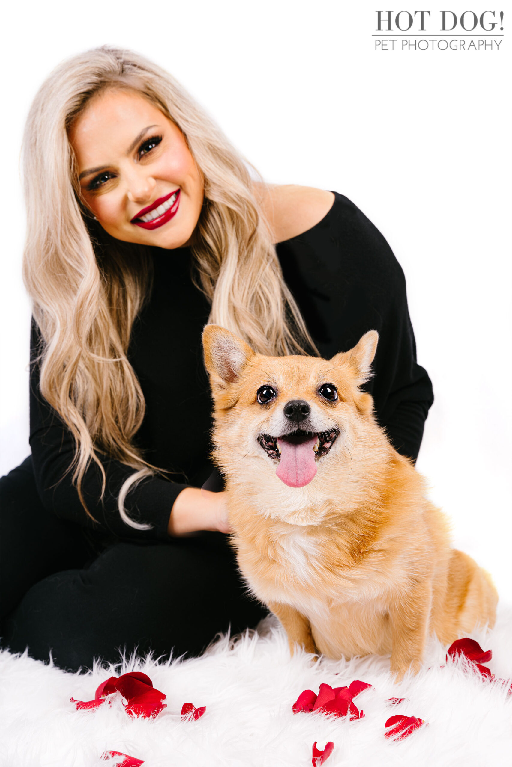 Tinkerbelle the Toy Pomeranian Corgi mix is the star of this professional pet photo session by Hot Dog! Pet Photography.