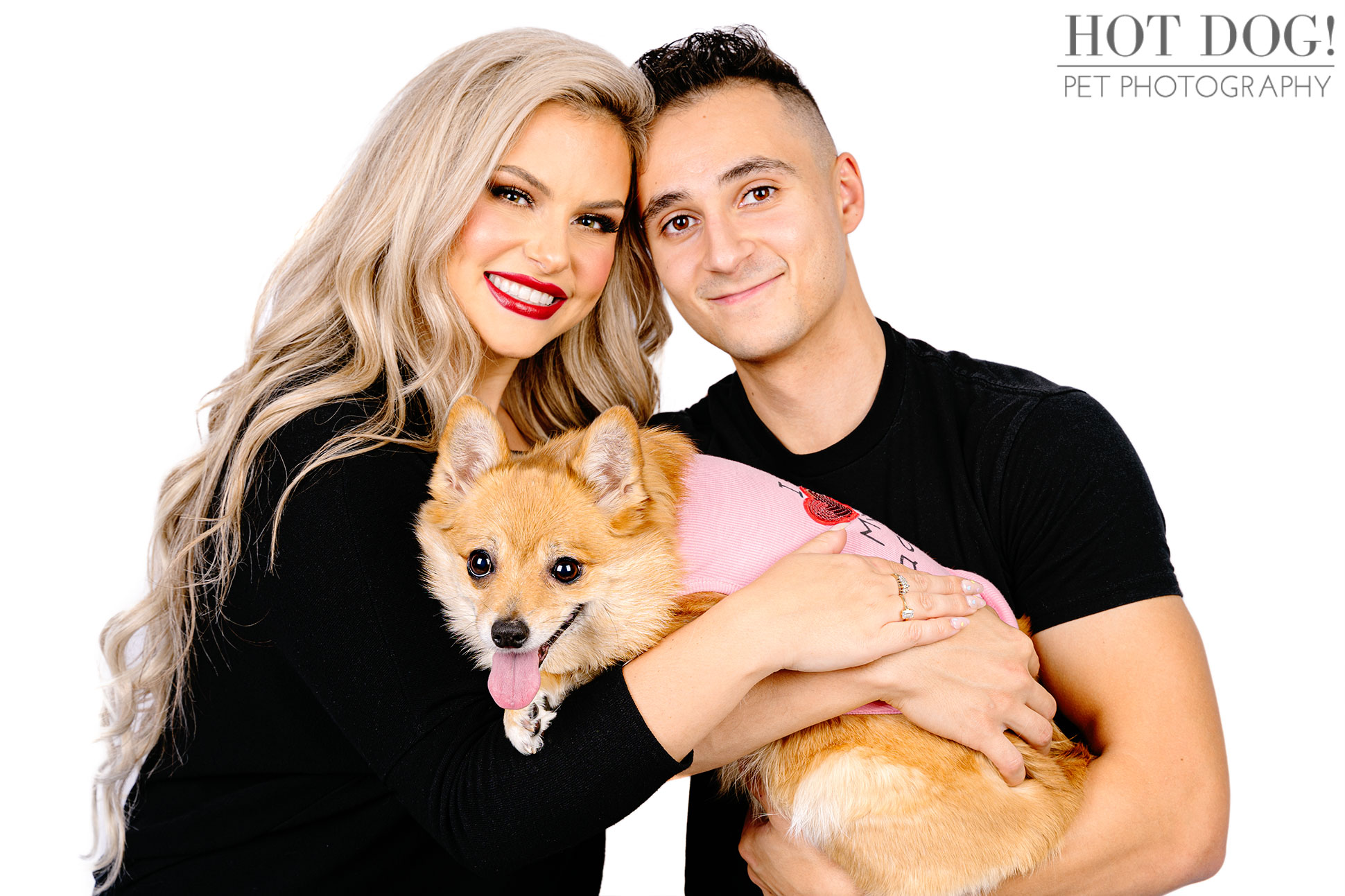 Hot Dog! Pet Photography is the premier pet photography studio in the area, and this photo session with Tinkerbelle the Toy Pomeranian Corgi mix is proof of their talent.