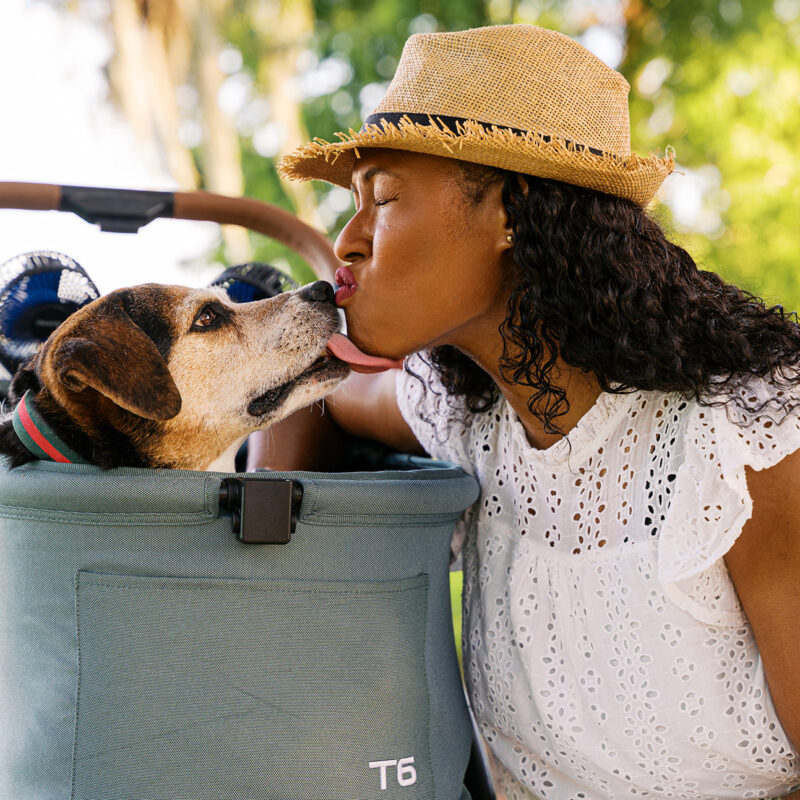 Tripp’s Cherished Companion Session at Gaston Edwards Park | Orlando Pet Photography