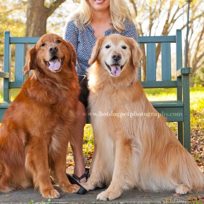 Copper & Tucker | Cherished Companion Session