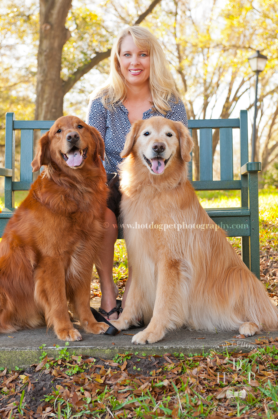 Orlando Pet Photography by Hot Dog! Pet Photography