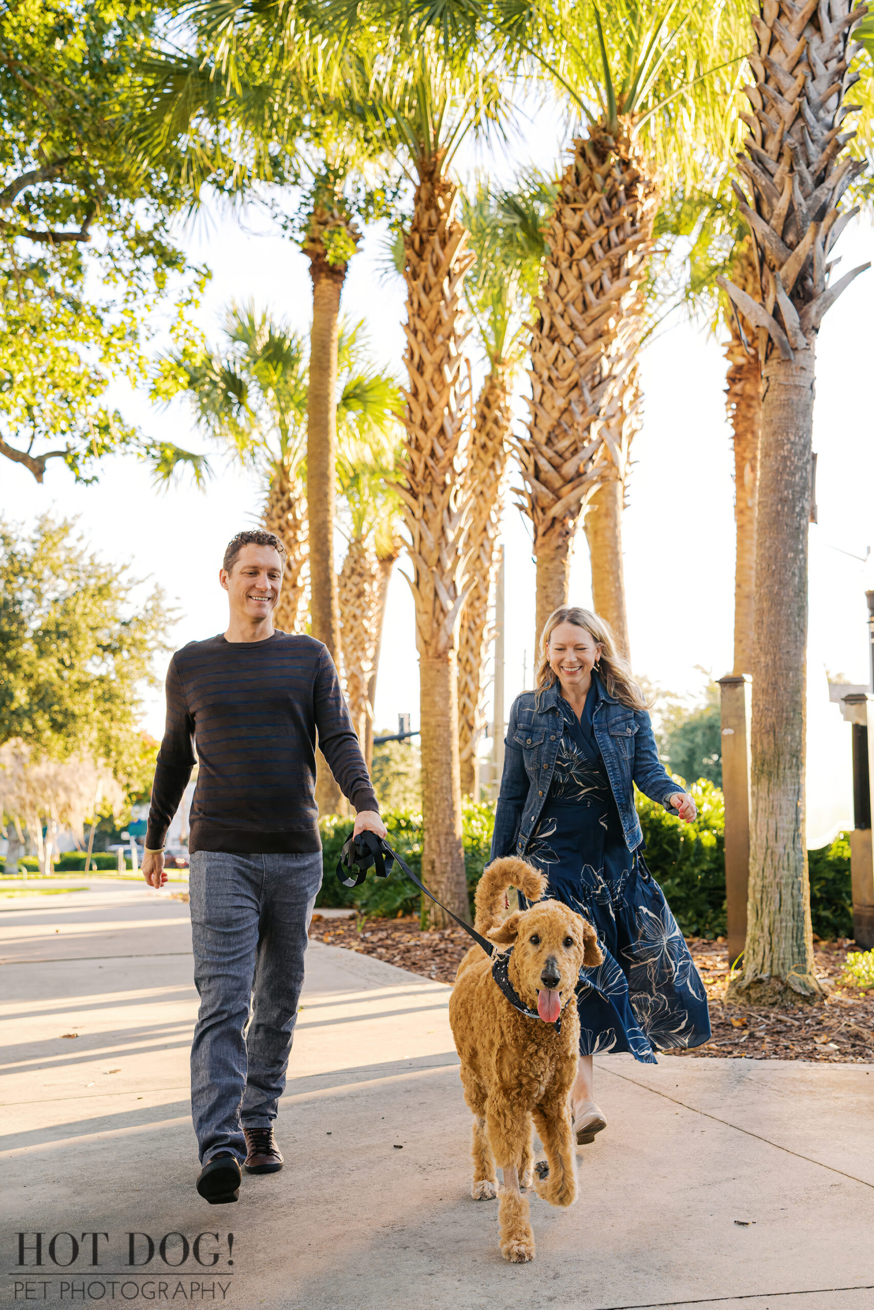 Cory and Jen walking Wizard down a palm-lined path at Gaston Edwards Park, Wizard happily leading the way on leash with his tongue out.