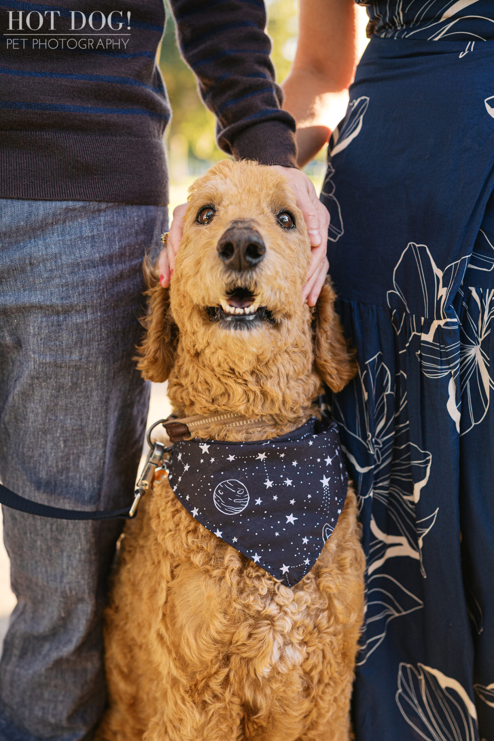 Close-up of Wizard wearing his navy star-patterned bandana, looking up sweetly while standing between Jen and Cory.