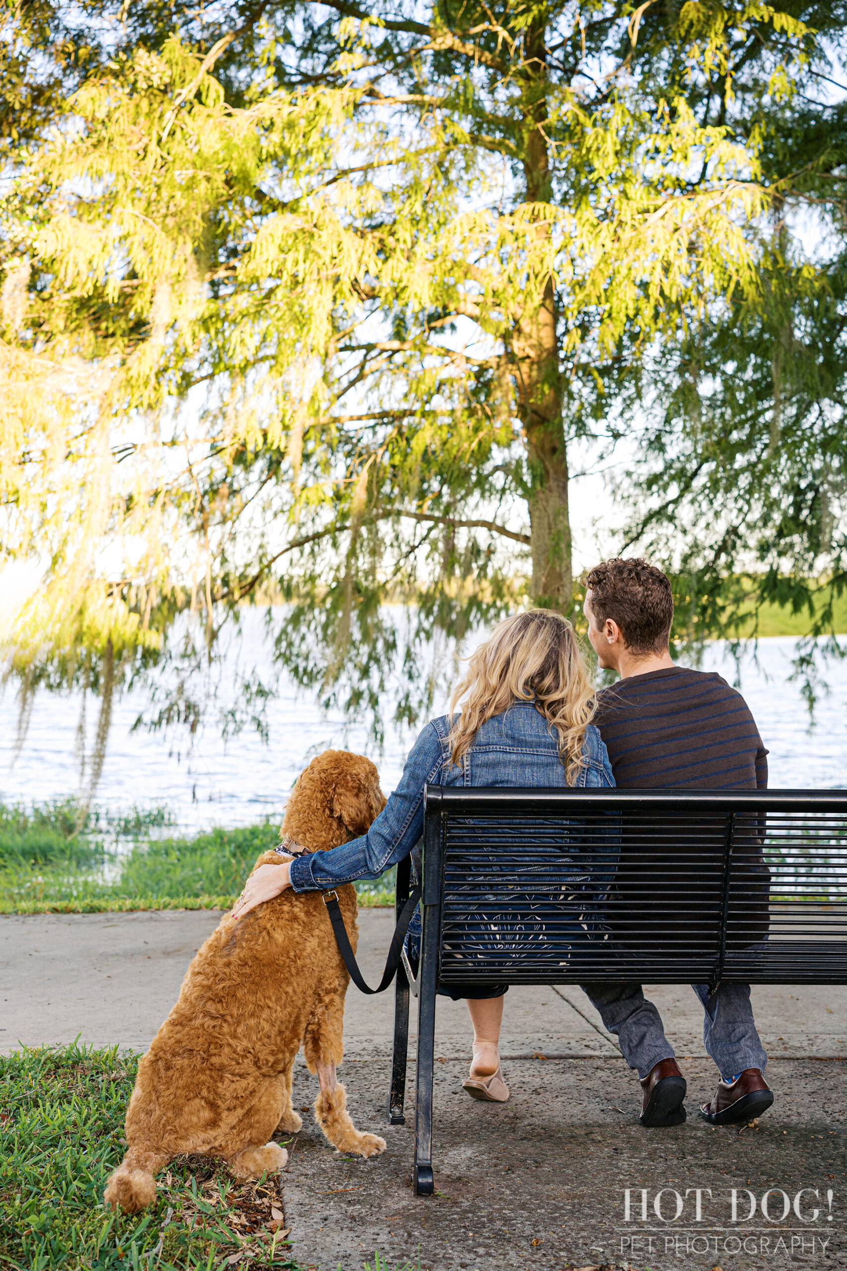 Rear view of Wizard sitting beside the bench with Jen and Cory, all three looking out over the lake at Gaston Edwards Park.