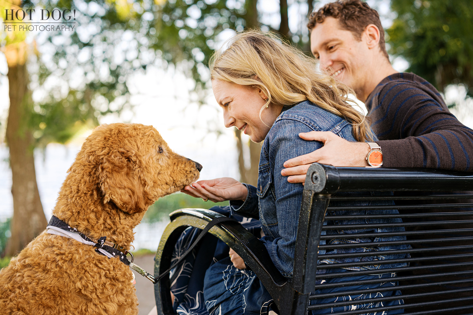 Jen sitting on a black park bench feeding Wizard a treat while Cory rests a hand on her back, with the lake and trees of Gaston Edwards Park in Lake Ivanhoe in the background.