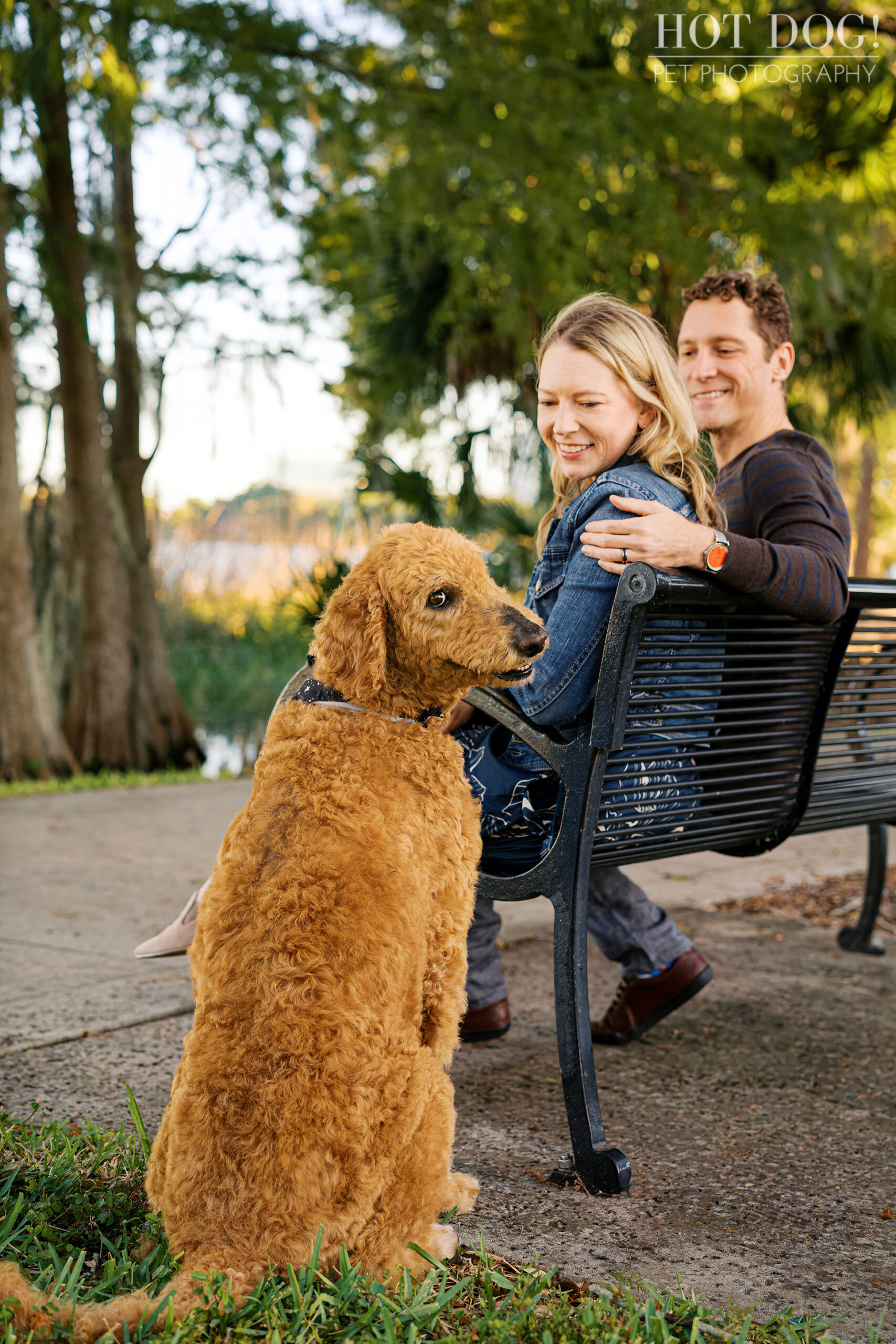 Wizard sitting near the bench while Jen and Cory smile at him, surrounded by greenery with soft evening light in the background.