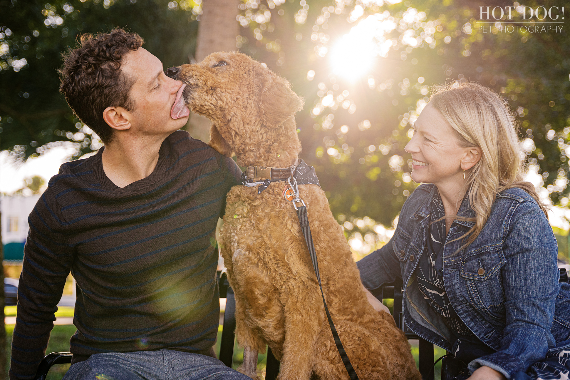 Professional dog photography by Hot Dog! Pet Photography in Central Florida