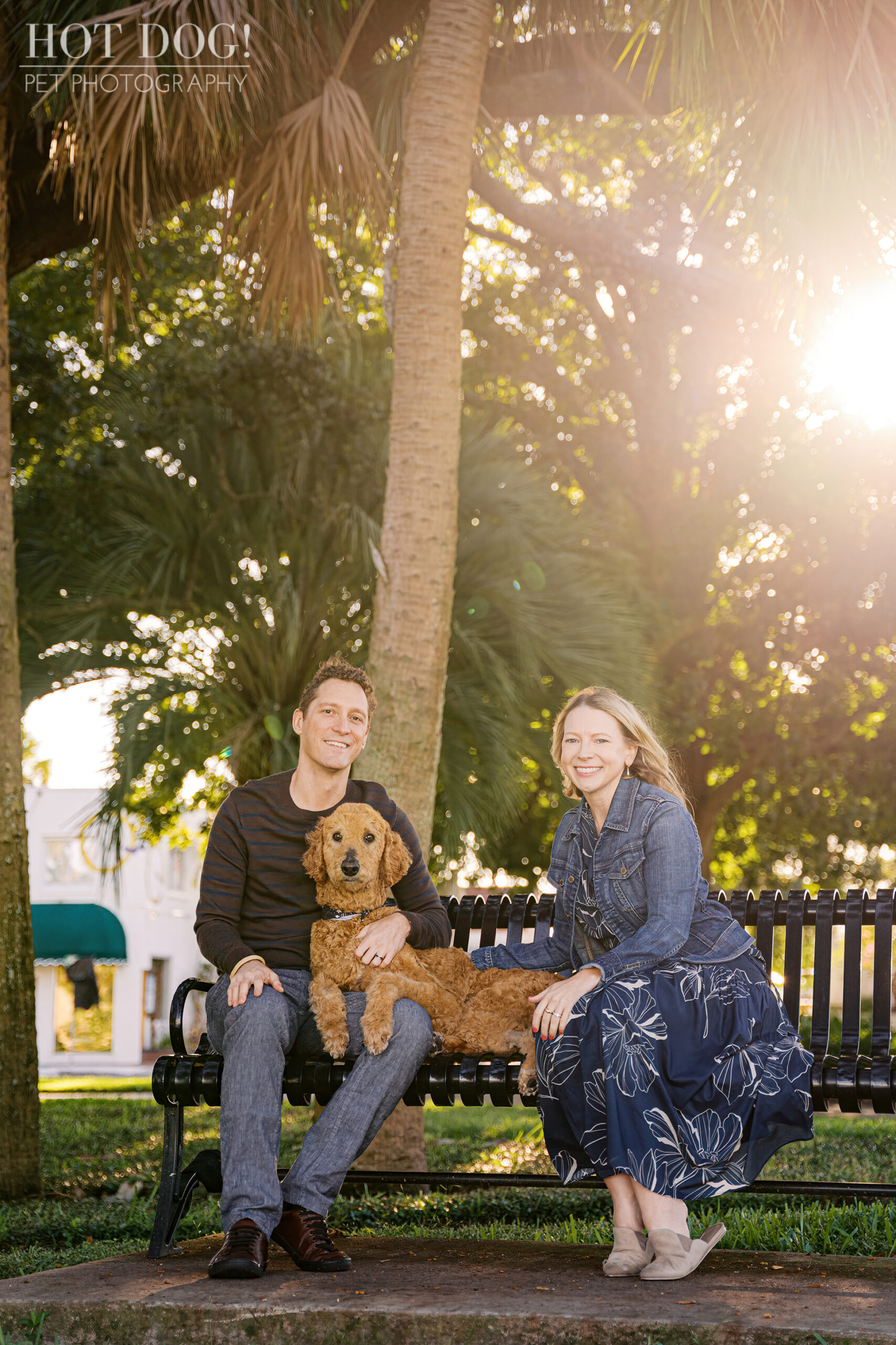 Jen and Cory sitting on a park bench with Wizard lying comfortably across Cory’s lap, surrounded by sunlit palm trees.