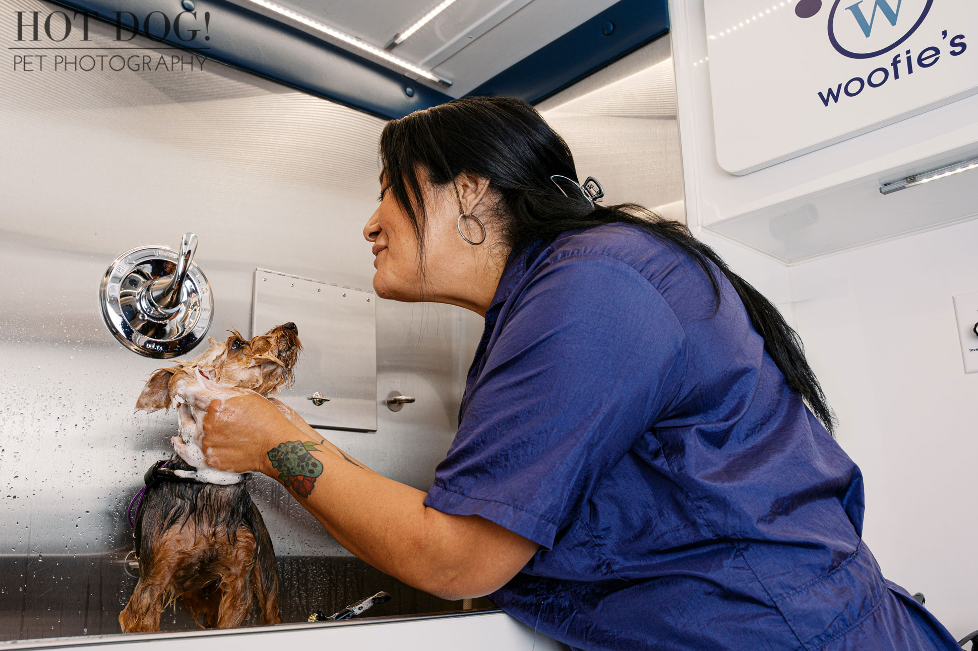 Mobile groomer bathing a Yorkshire Terrier in a stainless steel grooming tub inside a Woofie’s branded van during a commercial pet photography shoot.