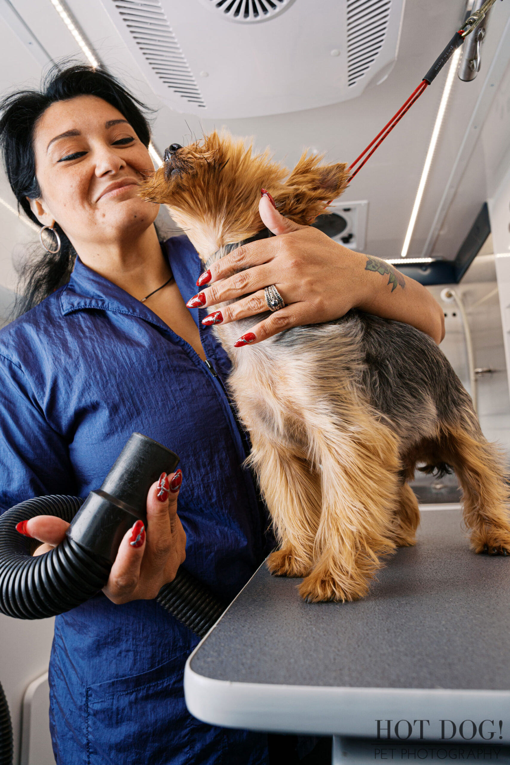 Groomer gently cuddling a freshly groomed Yorkshire Terrier inside a mobile pet grooming van, emphasizing trust-building and calm handling.