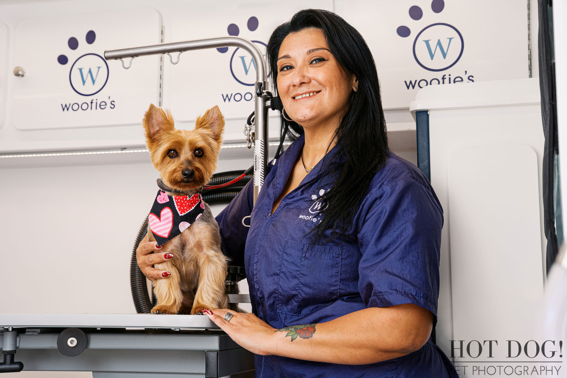 Woofie’s mobile pet groomer posing with freshly groomed Yorkshire Terrier on grooming table inside branded van for commercial photography.