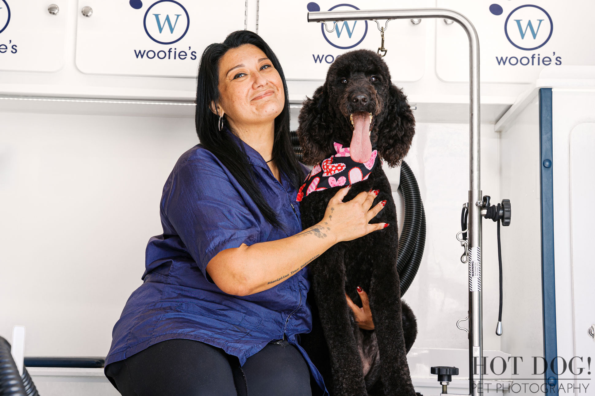 Woofie’s mobile pet groomer posing with freshly groomed black poodle inside branded grooming van for commercial pet service photography.