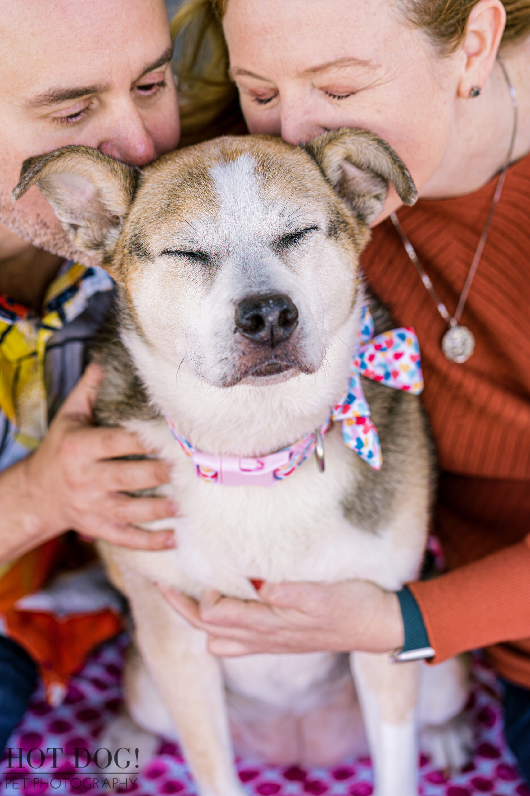 Cozy Canine Cuddle: Zoe snuggles close to her humans for a heartwarming moment in Newton Park, their bond radiating warmth. (Photo by Hot Dog! Pet Photography)